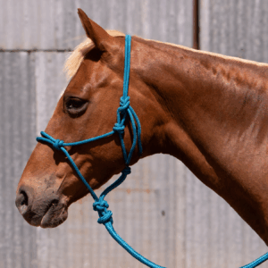 Stockman Rope Halter With Matching 7ft Training Lead – Teal