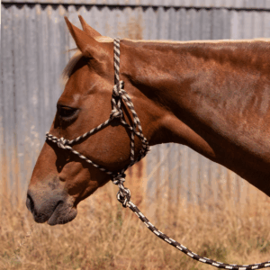 Stockman Rope Halter With Matching 7ft Training Lead – Brown/Cream