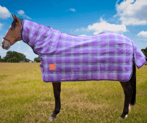 Newmarket Deluxe Shade Mesh Combo – Purple