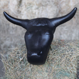 Plastic Steer Head