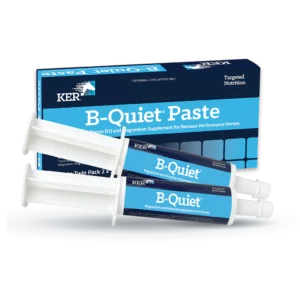 KER B-Quiet Paste Twin Pack