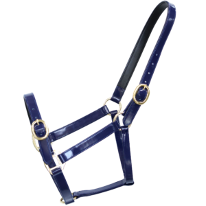 Randwick 1″ PVC Halter – Navy