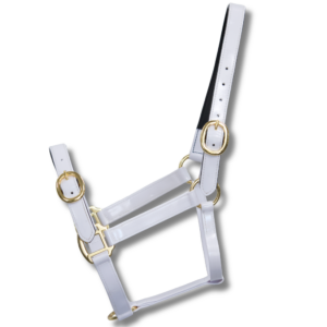 Randwick 1″ PVC Halter – White