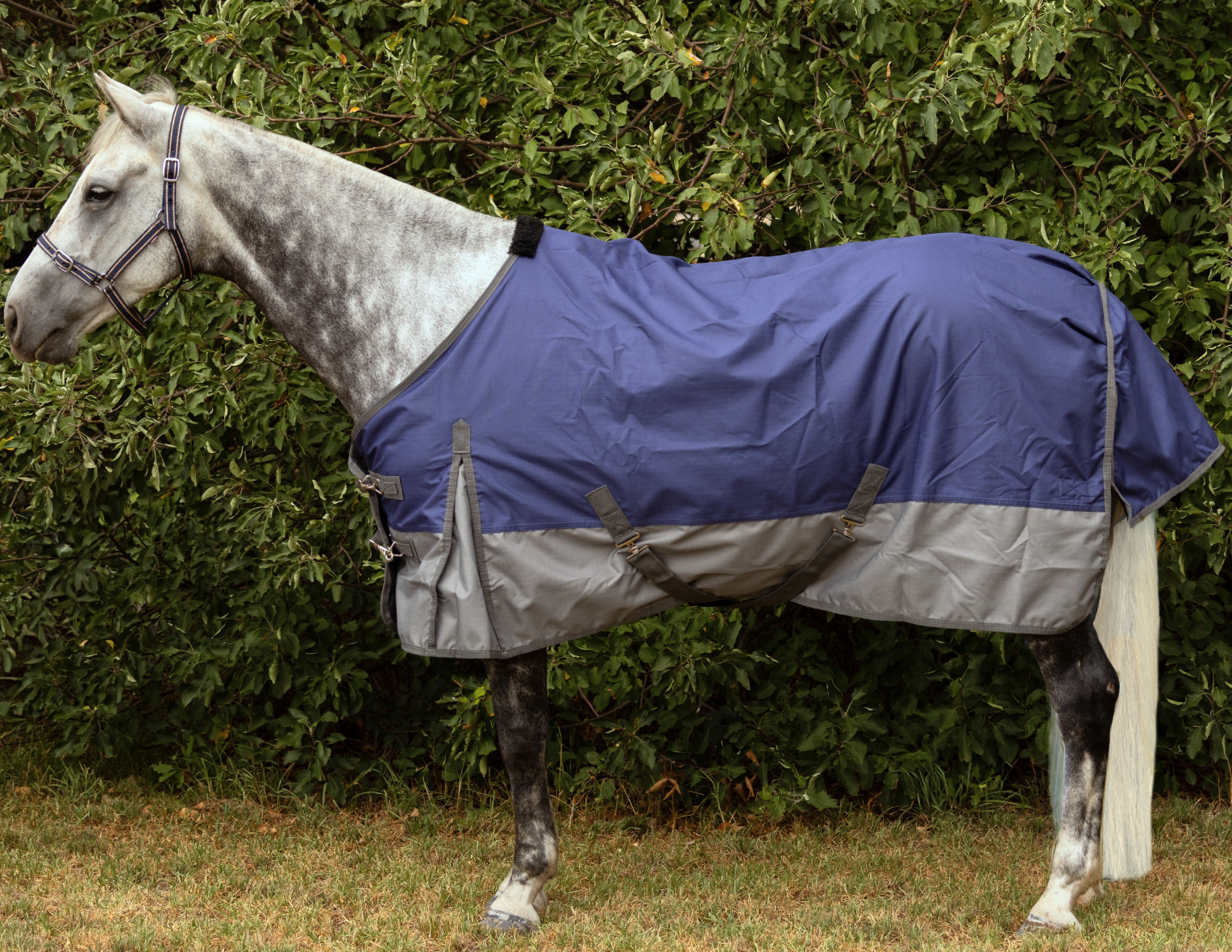 1200 Denier Rain Sheet Rug – Navy/Grey