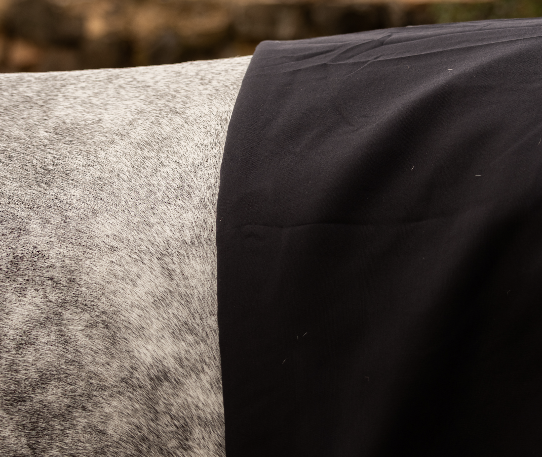 1200 Denier Rain Sheet Rug – Navy/Grey - Image 7