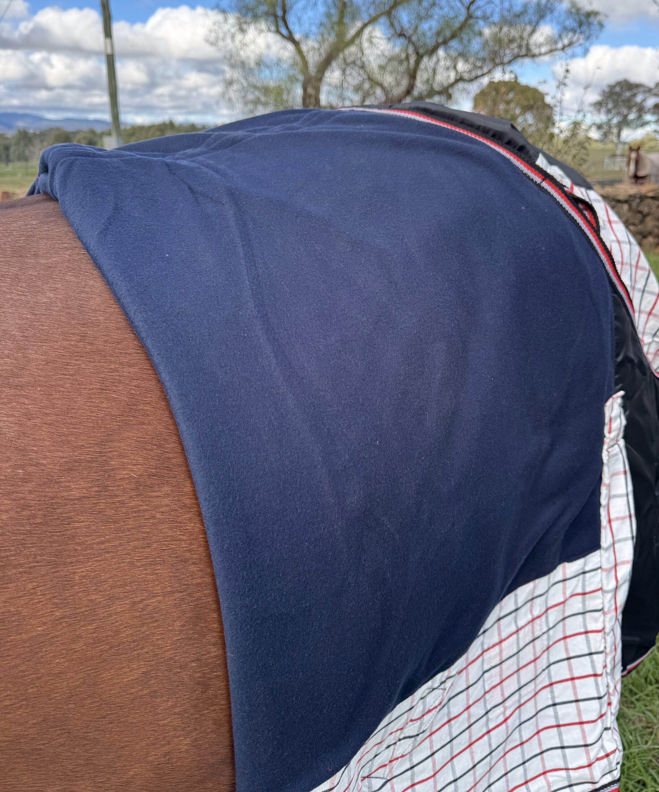Oxford Dual Season Fleece Lined Ultimate Rug - Image 2