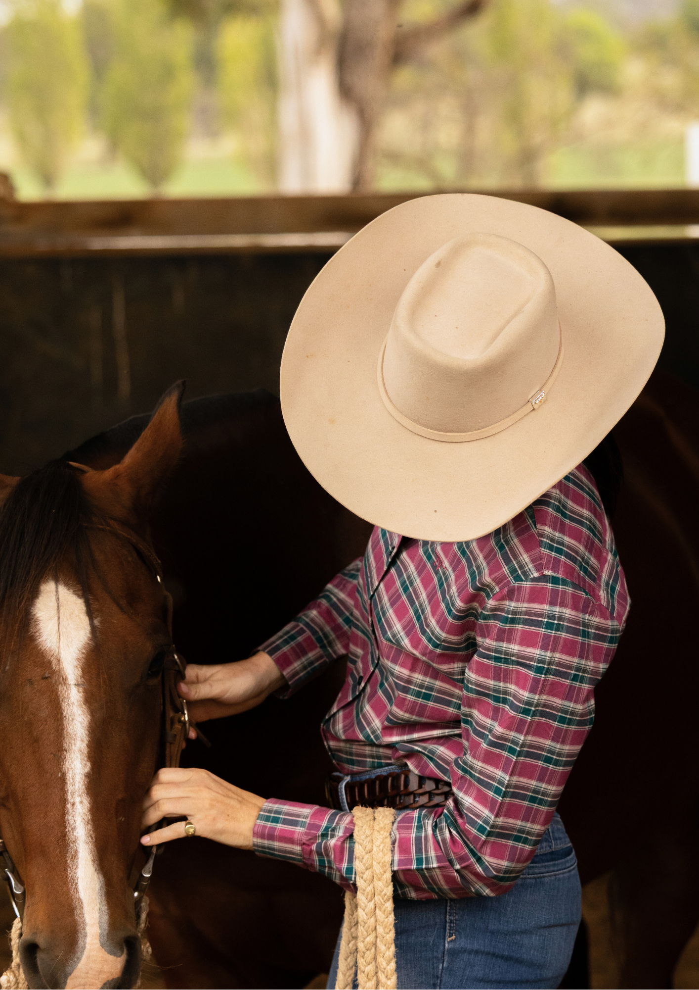 Newmarket Heritage 100% Australian Cotton Women's Shirt - Pink Check - Image 5