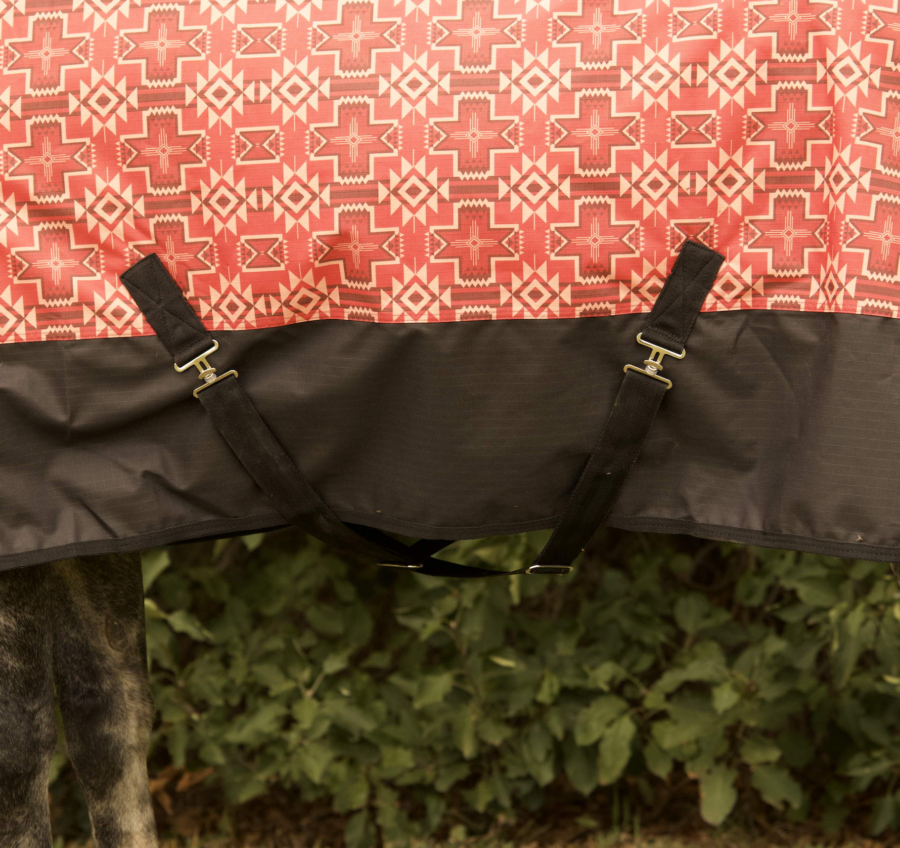 1200 Denier Red Aztec Print Synthetic Combo - Image 6