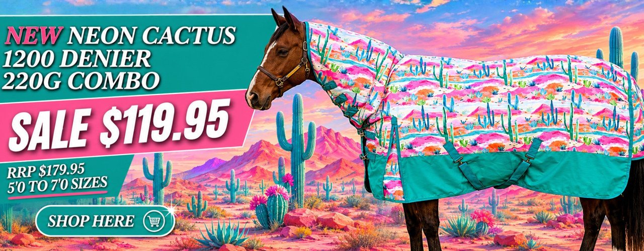 Neon Cactus Combo (1)