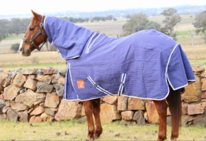 Newmarket’s Windsor 24oz Ripstop Wool Lined Canvas Combo With Wither Gusset
