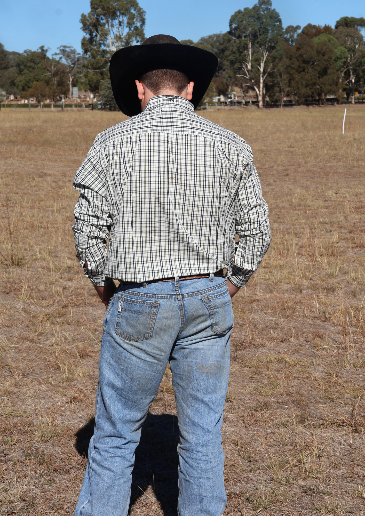 Newmarket Men’s 100% Australian Cotton Shirt – Gold Stripe - Image 5