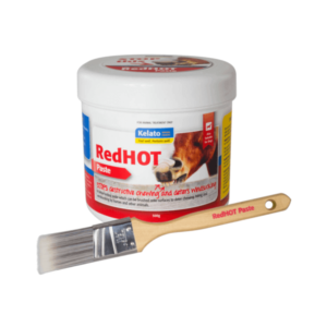 Red Hot Paste 500gm With Brush