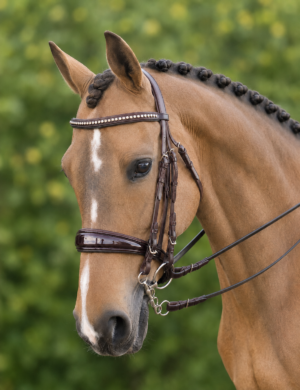 Cambridge Double Bridle With Straight Bling Browband & Patent Noseband – Brown
