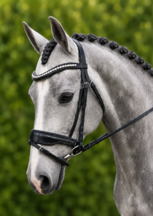 Cambridge Hanoverian Snaffle Bridle With Curved Pearl & Diamante Browband & Anatomical Noseband – Black