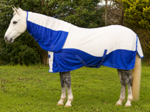 Summer Breeze Mesh Insert Combo With Surcingles – Royal Blue