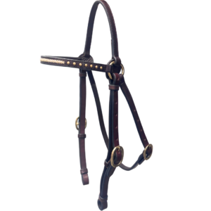 Calgary Rawhide Studded Barcoo - #517