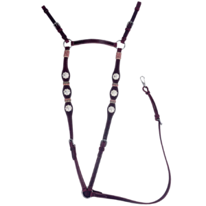 Calgary Rawhide & Silver Concho Breastplate – AUS #2624