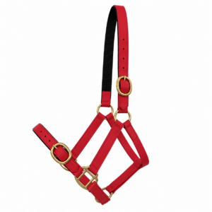 London PVC Halter – Matte Red