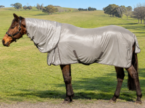 Mesh Combo With Surcingles – Silver